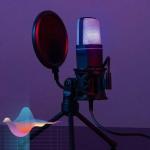 RGB USB Condenser Microphone for Studio Recording, Gaming & Laptop Use